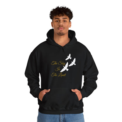 Hoodie - The Sky Is The Limit - Luminous Gem Designs 